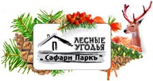 «Сафари Паркъ»